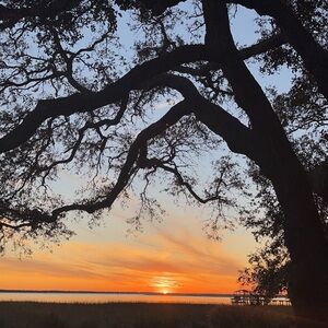 Meet your Posher, Meghan